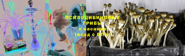 герыч Новозыбков