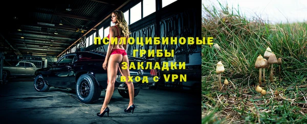 каннабис Новодвинск