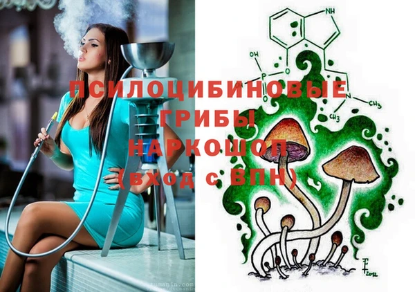 каннабис Новодвинск