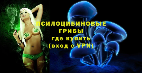 герыч Новозыбков