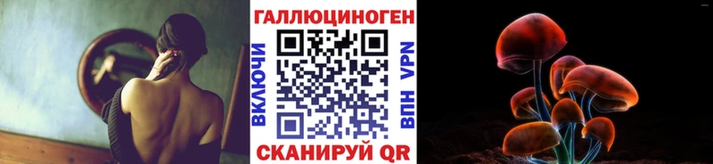 как найти закладки  Берёзовка  Галлюциногенные грибы Magic Shrooms 