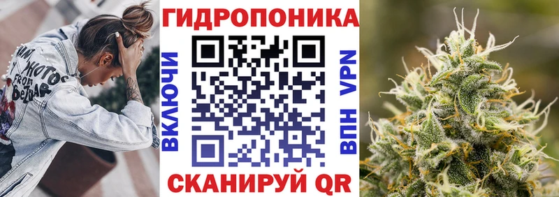 где продают наркотики  blacksprut маркетплейс  МАРИХУАНА гибрид  Берёзовка 